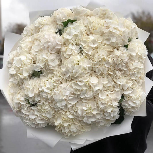 Blanc Prestige
