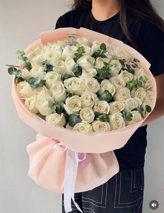 Moonlight Sonata - 50 premium roses