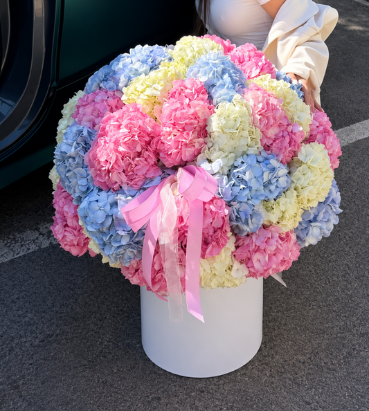 Hydrangea Box