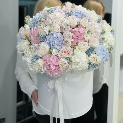 Pastel Serenity
