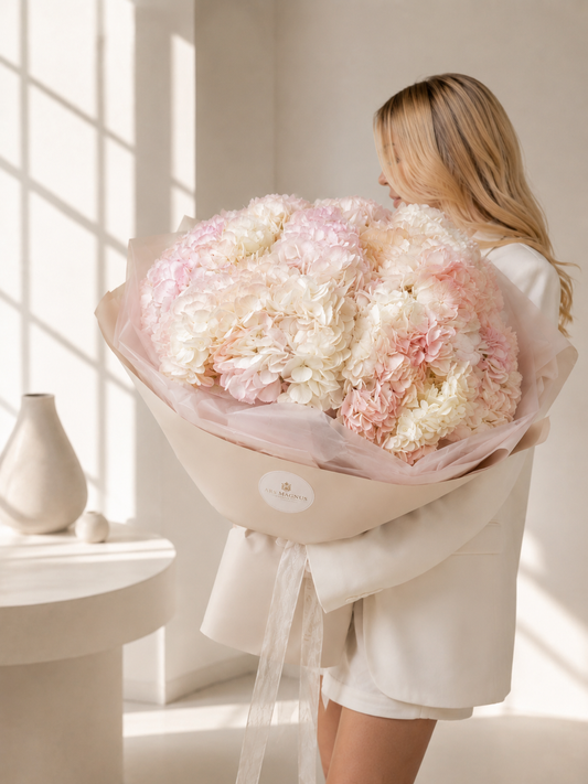 Blush Cloud Hydrangeas