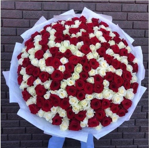 Rouge Blanc Long Stem Roses